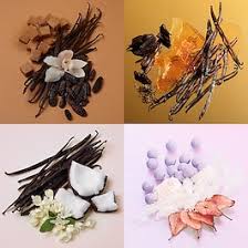 Kayali Vanilla Miniature Obsessions 4 x 10 ml – Vanilla EDP Mini Set