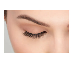 Ardel wispies  pack of 6